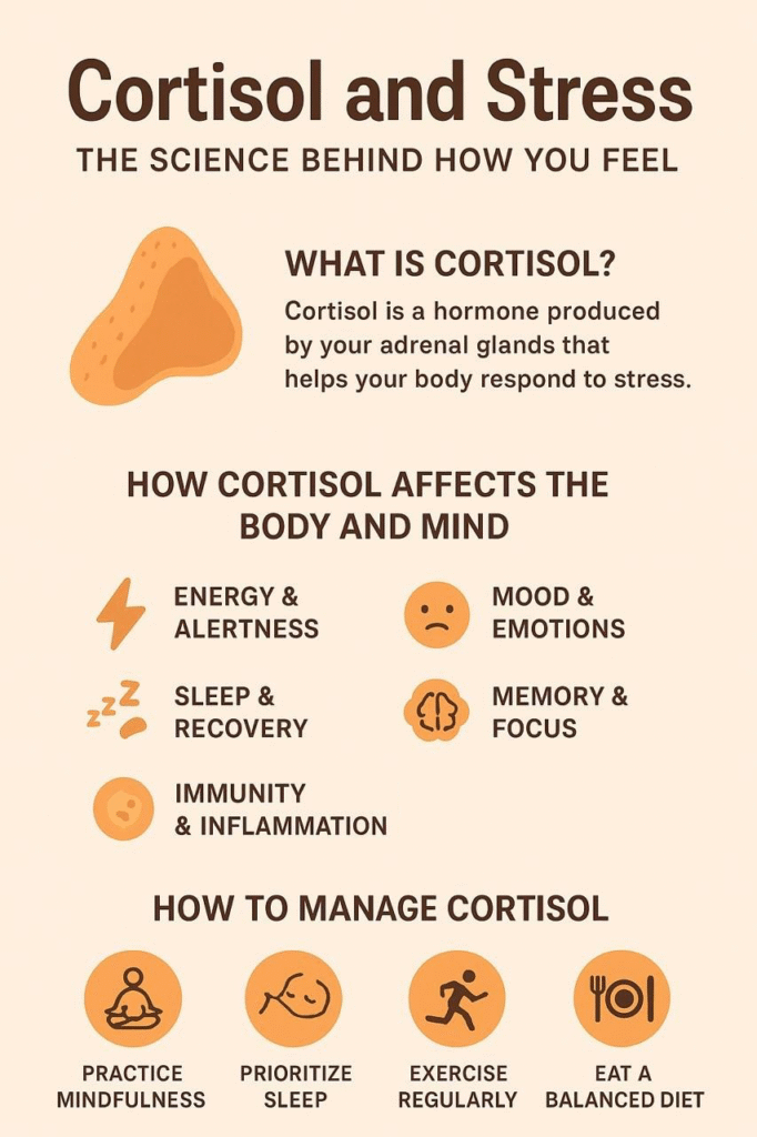 Cortisol and Stress - mindliftnow.com