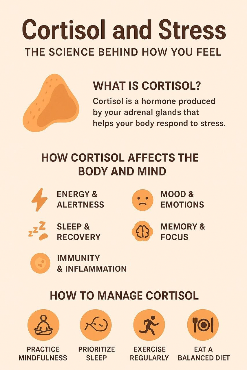 Cortisol and Stress - mindliftnow.com